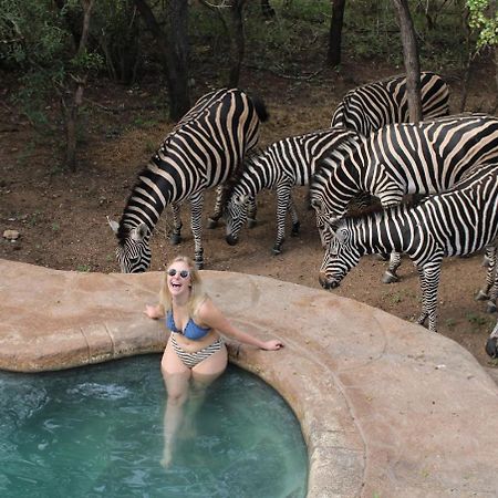 Kruger Park Hostel 玛洛斯帕克 外观 照片