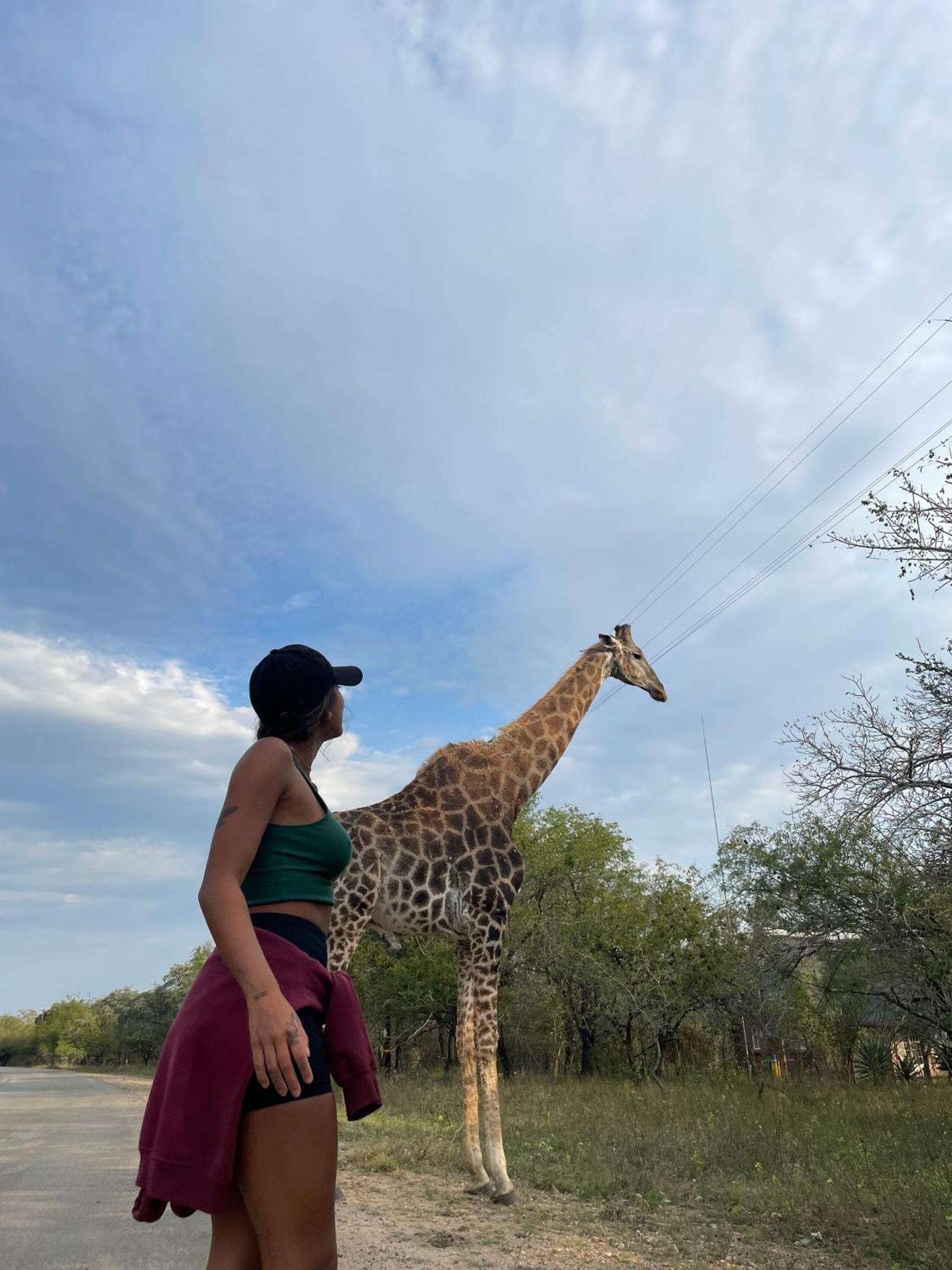 Kruger Park Hostel 玛洛斯帕克 外观 照片