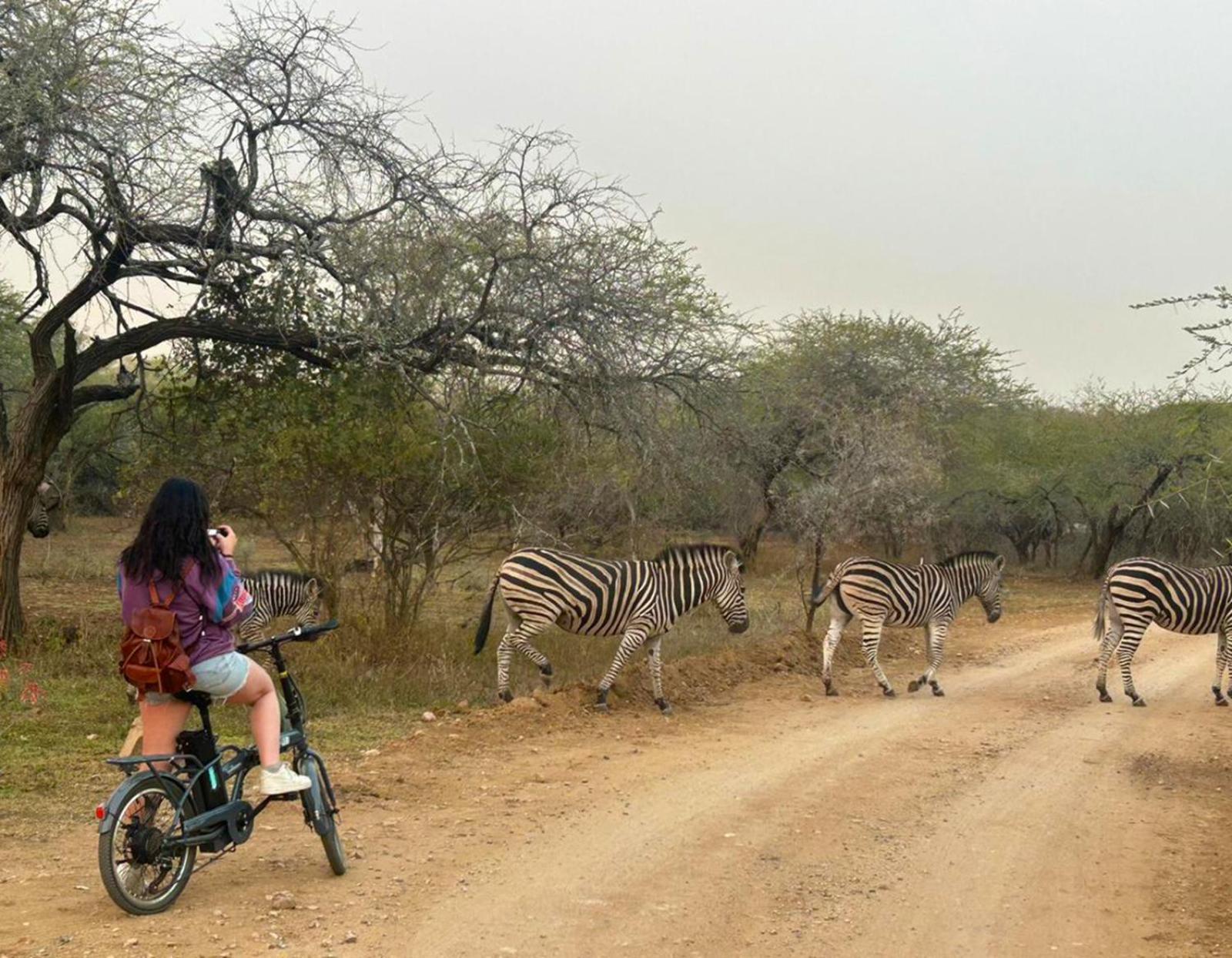 Kruger Park Hostel 玛洛斯帕克 外观 照片